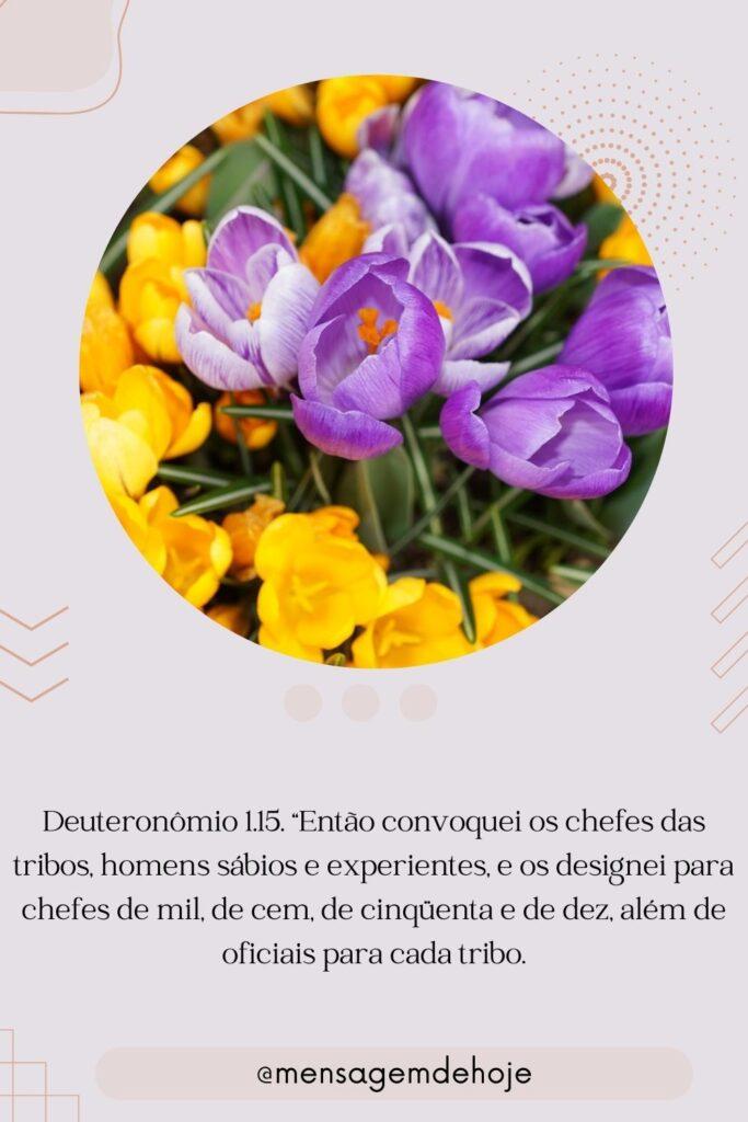 Salmos 26 de Julho de 2023 3