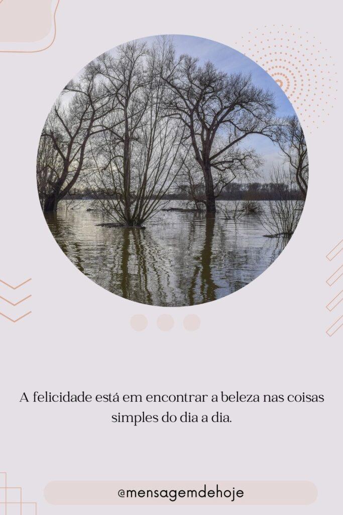 Pensamentos 17 de Julho de 2023 11