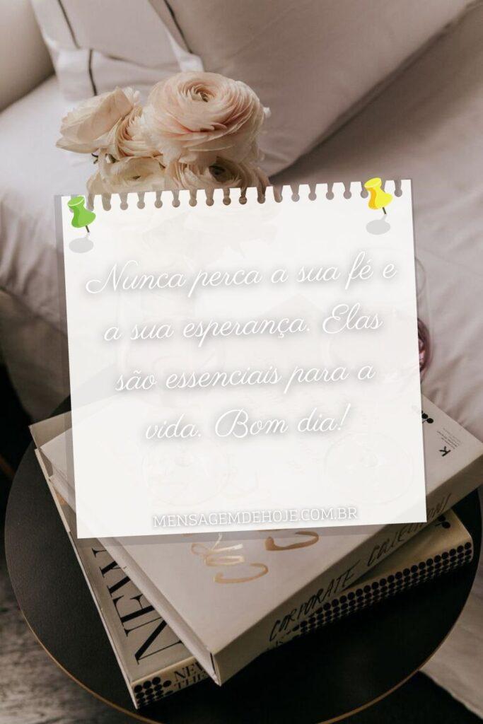 Bom Dia 18 de Julho de 2023 19