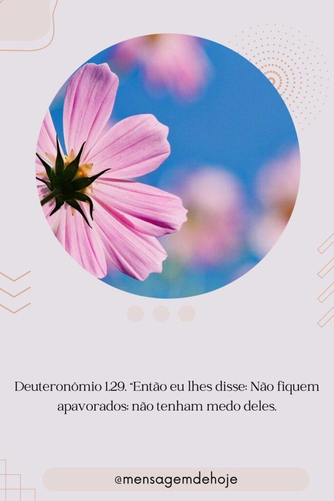 Salmos 28 de Julho de 2023 11