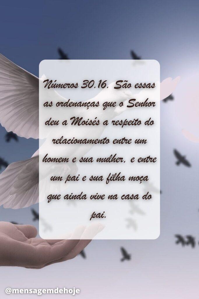 Salmos 02 de Julho de 2023 15