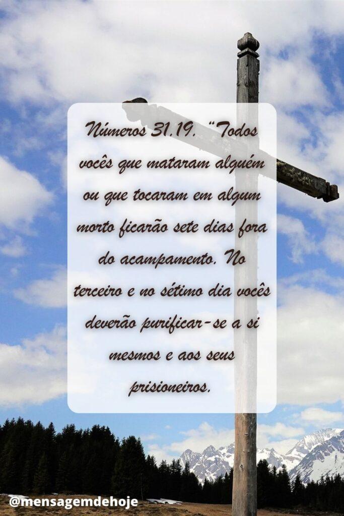 Salmos 04 de Julho de 2023 15