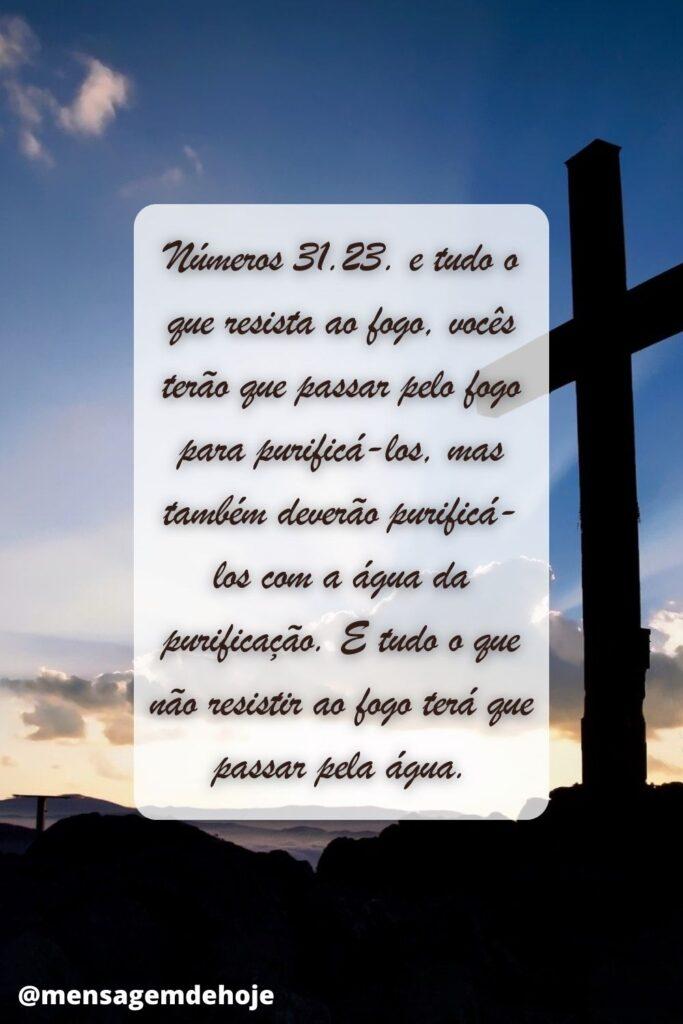 Salmos 04 de Julho de 2023 3