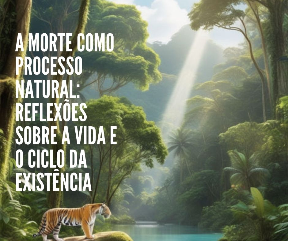 A Morte como Processo Natural: Reflexões sobre a Vida e o Ciclo da Existência