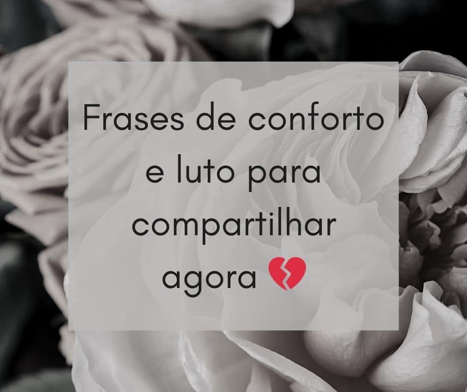 Frases de conforto e luto para compartilhar agora 💔