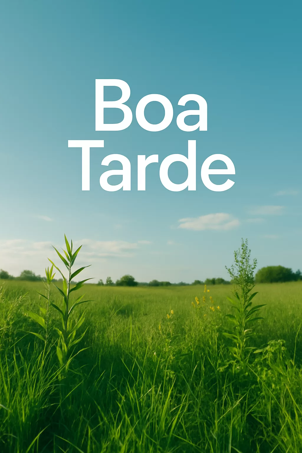 Boa Tarde: Energia e Motivação para Uma Tarde de Sucesso e Produtividade