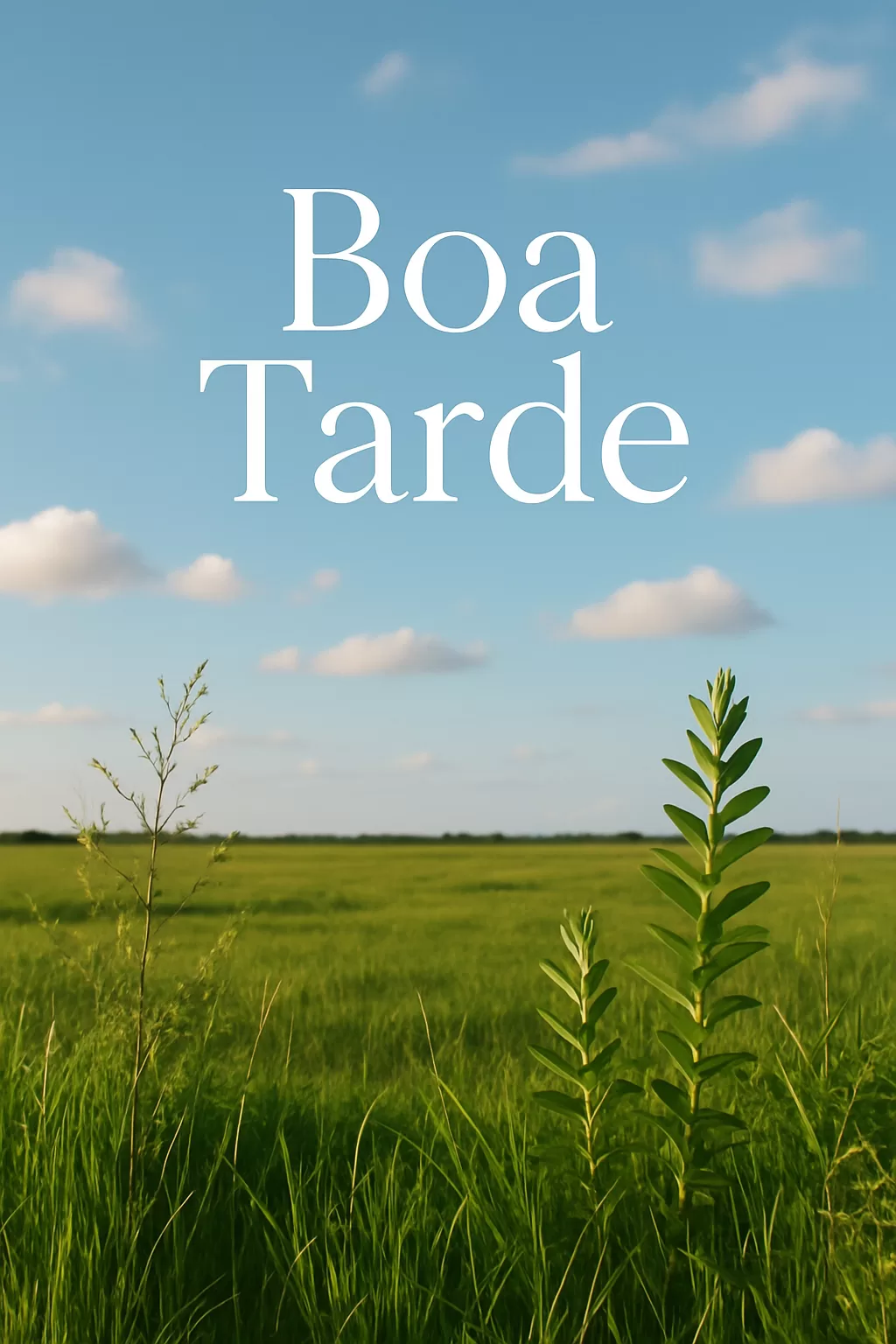Boa Tarde: Inspire-se para uma Tarde de Energia, Foco e Produtividade