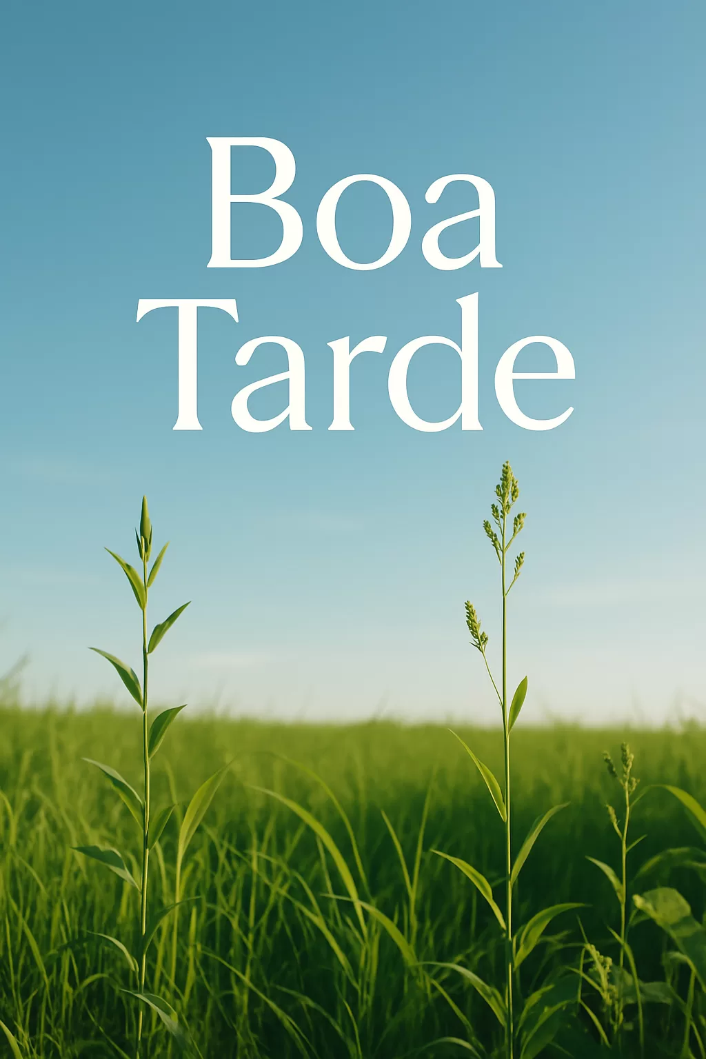 Boa Tarde: Encontre Sua Força Interior para Uma Tarde de Energia e Produtividade