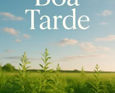 Boa Tarde: Inspire Sua Energia e Alcance a Produtividade com Foco e Determinação 3