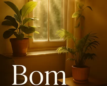 Bom Dia: Energia Positiva e Motivação para Seu Crescimento Pessoal 11