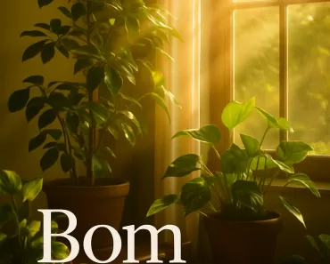 Bom Dia: Inspire-se e Energize Seu Novo Dia com Motivação e Gratidão 11