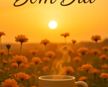 Reflexões Matinais para um Bom Dia Repleto de Energia Positiva e Sucesso 1