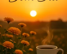 Bom Dia com Motivação: Energize Seu Novo Dia com Inspiração e Gratidão 1