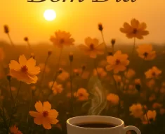 Bom Dia com Energia Positiva: Inspire-se para um Novo Dia de Sucesso e Gratidão 1