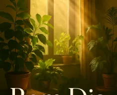 Bom Dia com Força Interior: Inspire-se para um Novo Dia de Sucesso e Energia Positiva 4