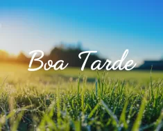 Despertando a Força Interior: Sua Tarde Rumo ao Sucesso e Produtividade 5 Despertando a Força Interior: Sua Tarde Rumo ao Sucesso e Produtividade 4