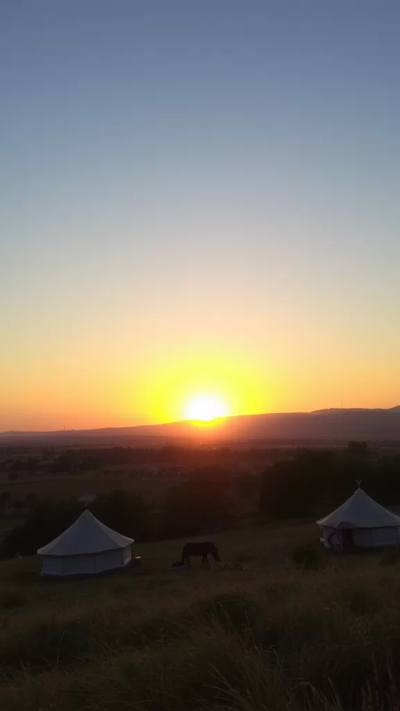 Salmos 37:5: Entregue Seus Caminhos