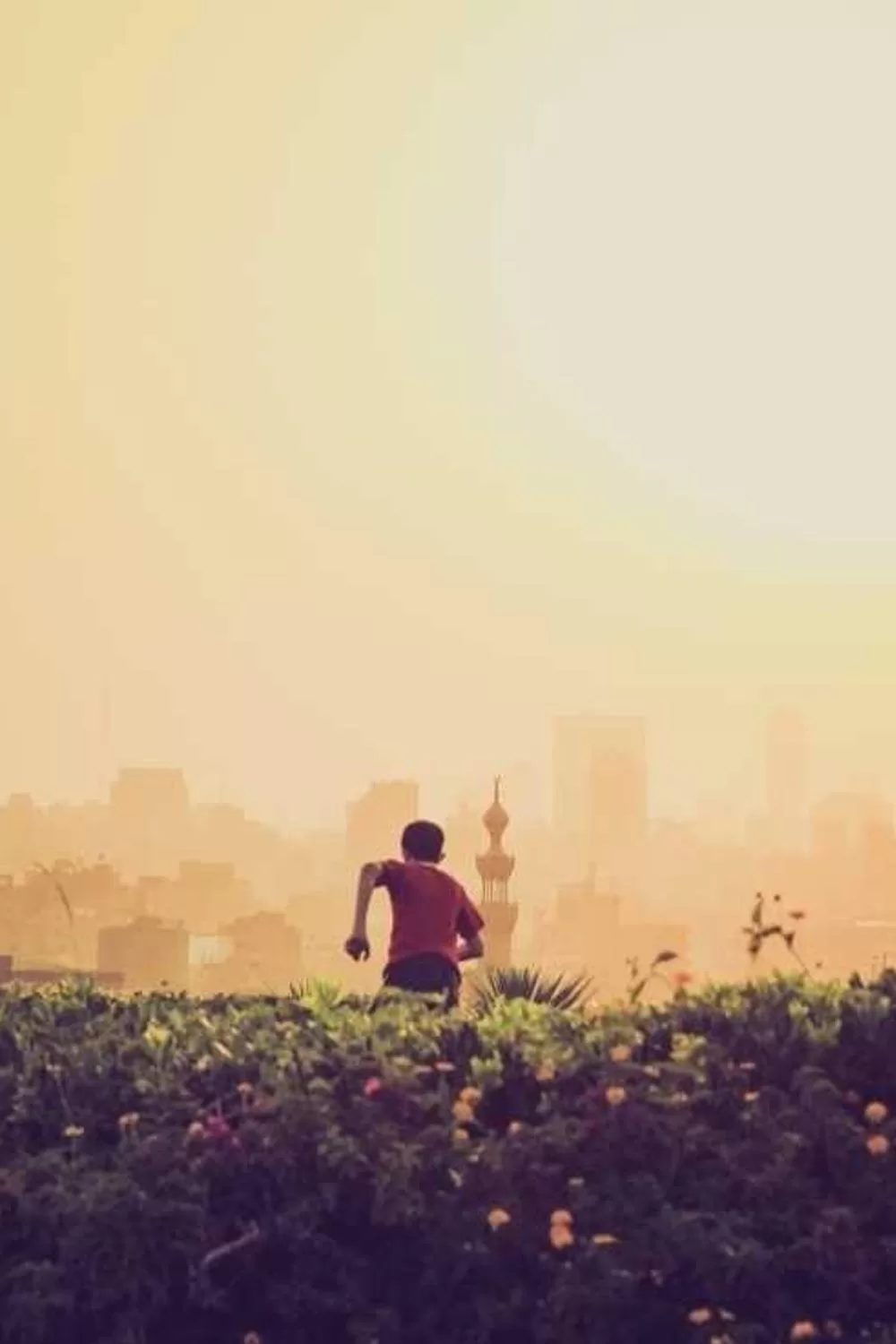 A Bíblia e o trabalho: Reflexões Bíblicas e Ensinamentos