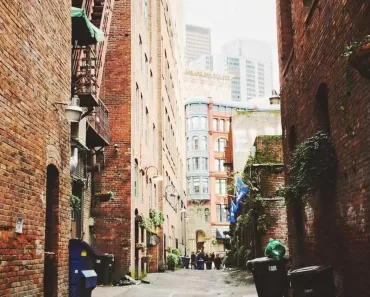 Devocional para tempos de crise: Reflexões Bíblicas e Ensinamentos 7