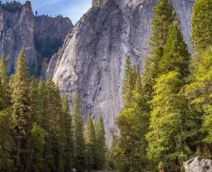 Estudo para mulheres cristãs: Reflexões Bíblicas e Ensinamentos 11