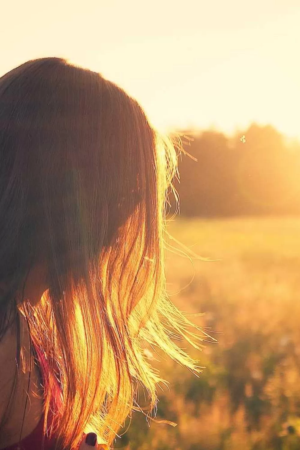 Fruto do Espírito: Reflexões Bíblicas e Ensinamentos