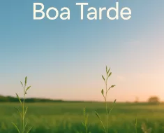 A Sabedoria da Tarde: Forjando Energia e Produtividade para o Sucesso Duradouro 23