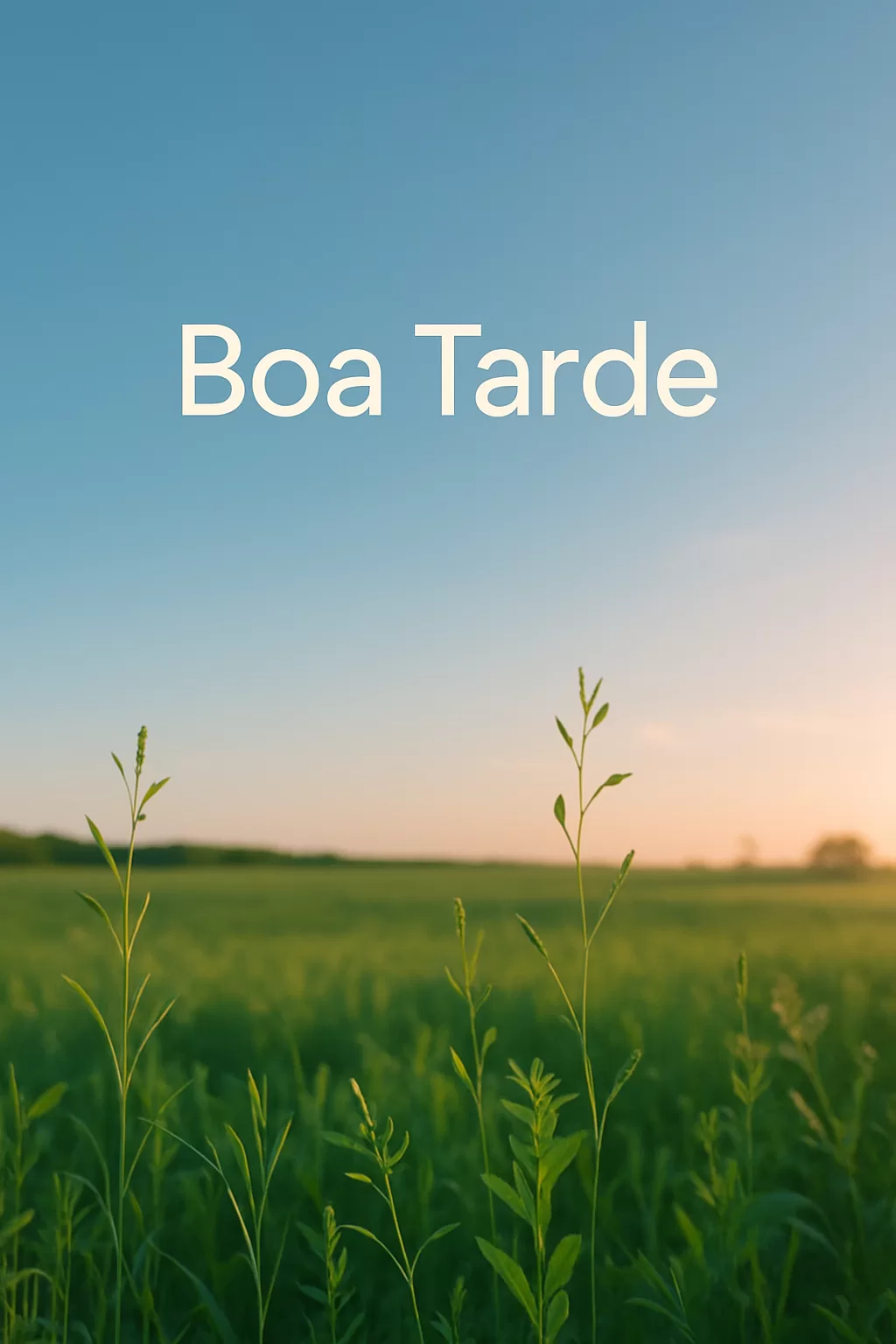 A Sabedoria da Tarde: Forjando Energia e Produtividade para o Sucesso Duradouro