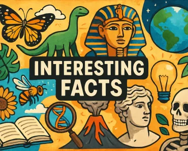 Curiosidades Fascinantes: Descubra o Inesperado! 9