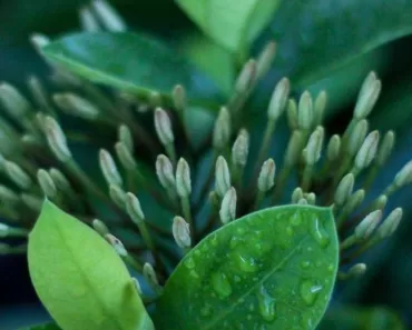 como lidar com a ansiedade com base na fé cristã: Reflexões Bíblicas e Ensinamentos 5