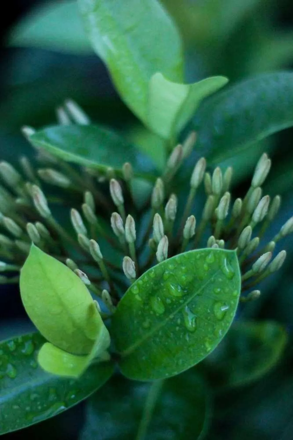 como lidar com a ansiedade com base na fé cristã: Reflexões Bíblicas e Ensinamentos