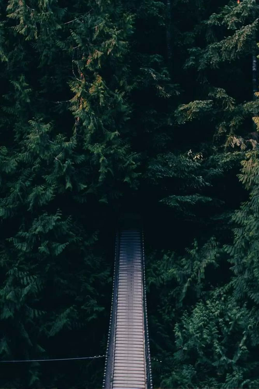 estudo bíblico católico sobre o perdão: Reflexões Bíblicas e Ensinamentos