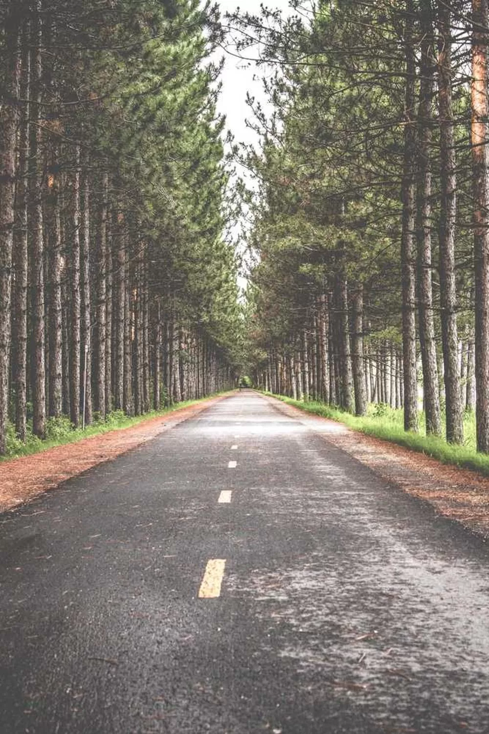 estudo bíblico sobre mulheres que ajudaram outros: Reflexões Bíblicas e Ensinamentos