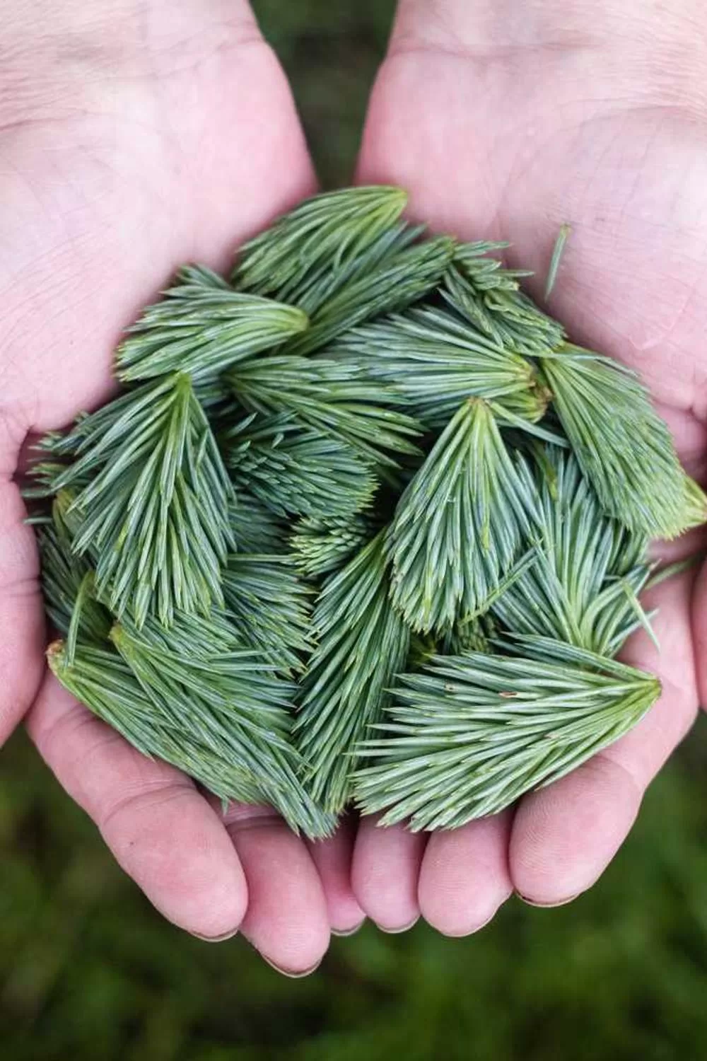 estudo sobre os evangelhos na bíblia católica: Reflexões Bíblicas e Ensinamentos