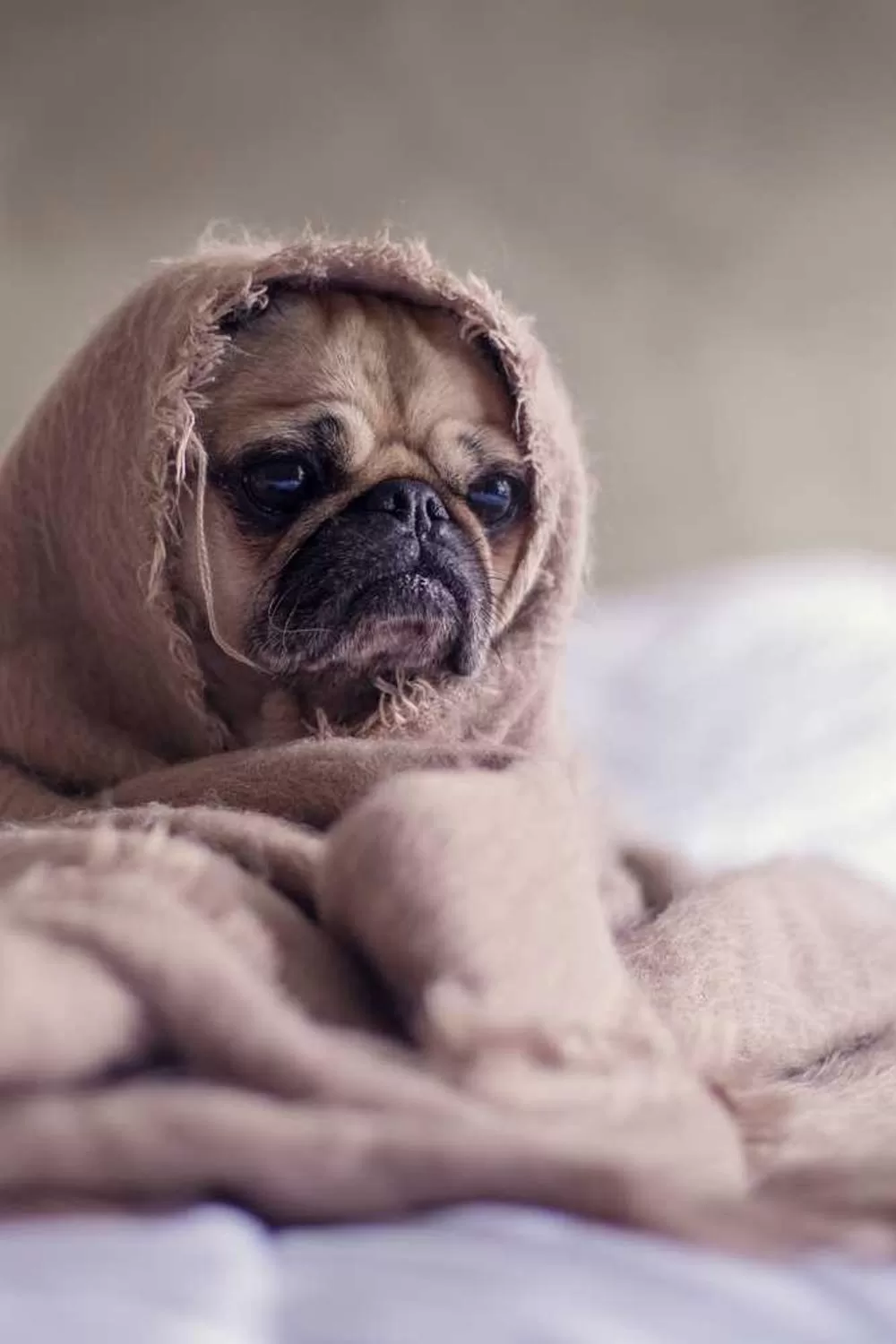 histórias de santos na bíblia católica: Reflexões Bíblicas e Ensinamentos