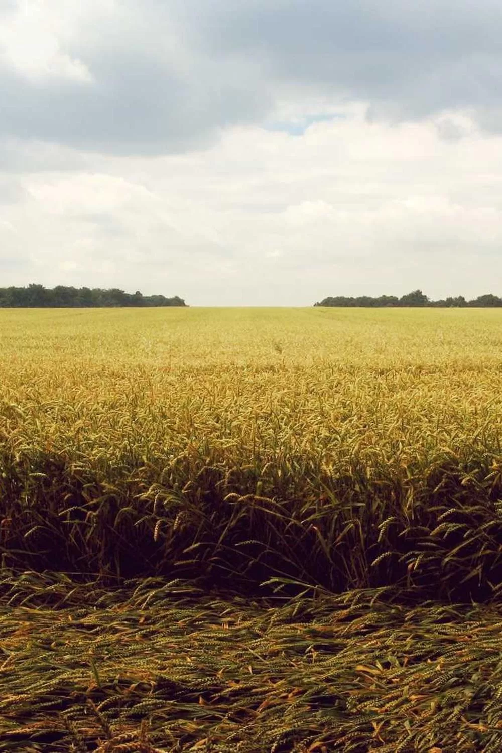 mensagens de paz na bíblia católica: Reflexões Bíblicas e Ensinamentos