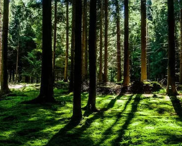 milagres de Jesus na bíblia católica: Reflexões Bíblicas e Ensinamentos 5