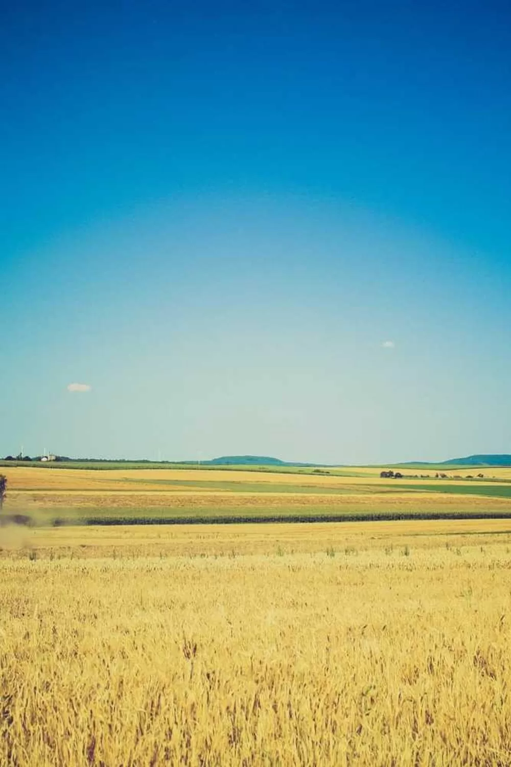 mulheres corajosas na Bíblia: Reflexões Bíblicas e Ensinamentos