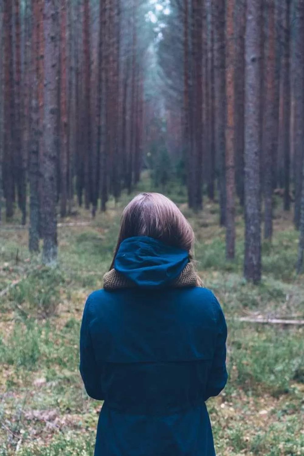 mulheres que inspiram fé e devoção na Bíblia: Reflexões Bíblicas e Ensinamentos