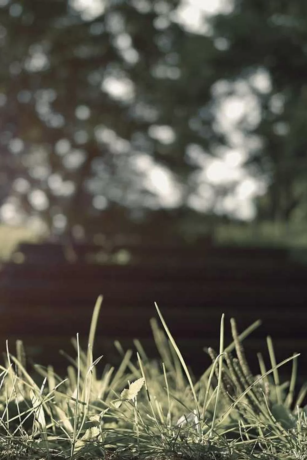 mulheres que seguiram os ensinamentos de Deus: Reflexões Bíblicas e Ensinamentos