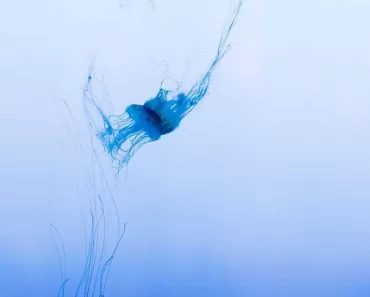 oração com base na bíblia católica: Reflexões Bíblicas e Ensinamentos 5