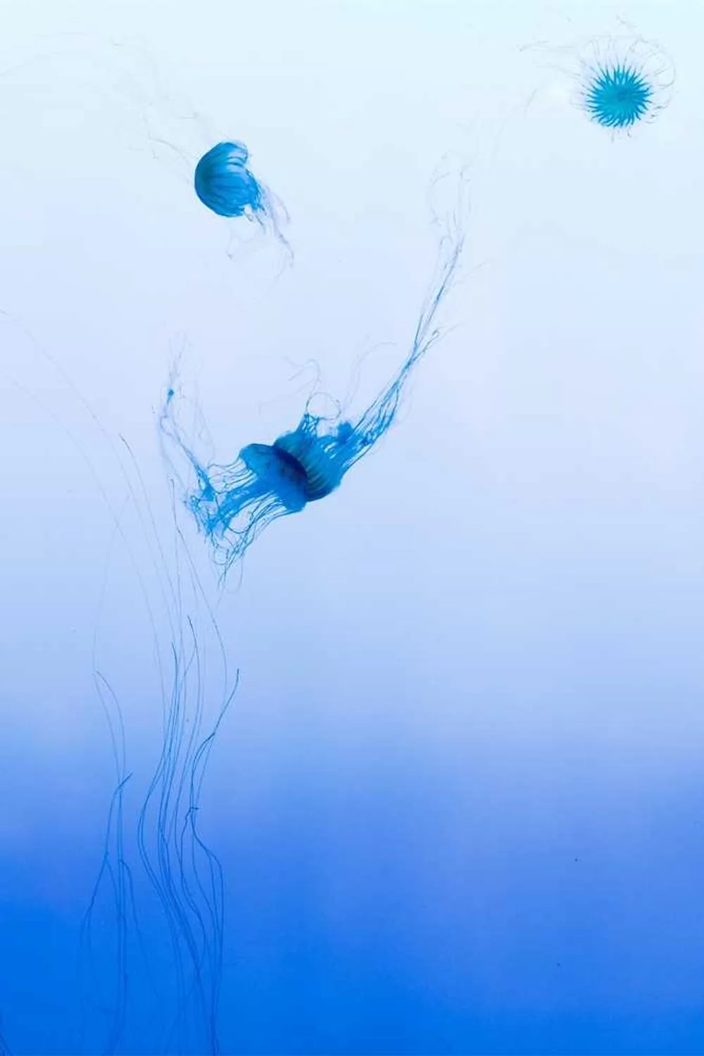 oração com base na bíblia católica: Reflexões Bíblicas e Ensinamentos