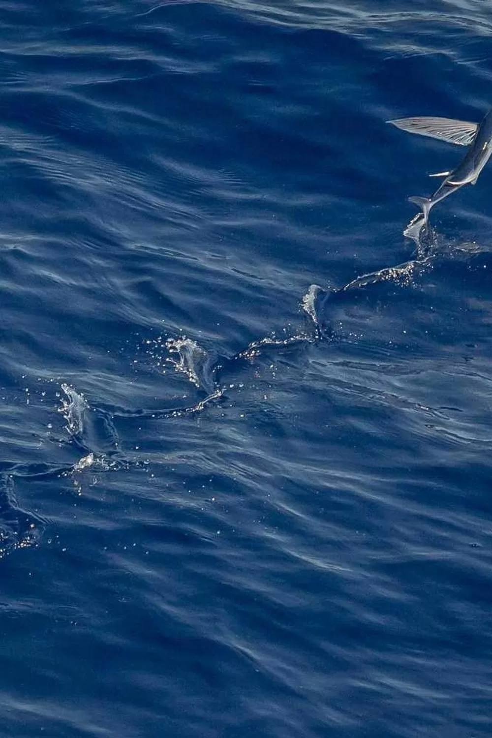 oração de proteção e fé para mulheres: Reflexões Bíblicas e Ensinamentos