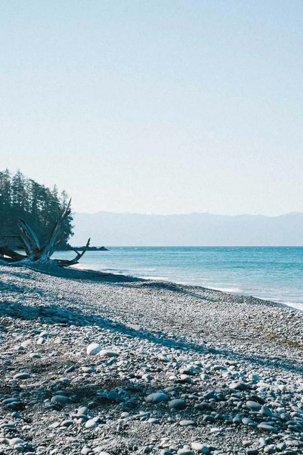 papel da mulher na Bíblia: Reflexões Bíblicas e Ensinamentos