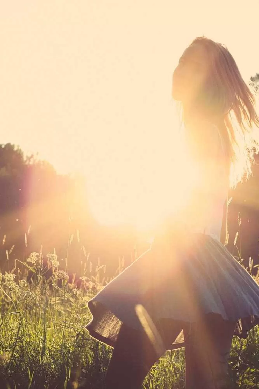 passagens da bíblia católica sobre família: Reflexões Bíblicas e Ensinamentos