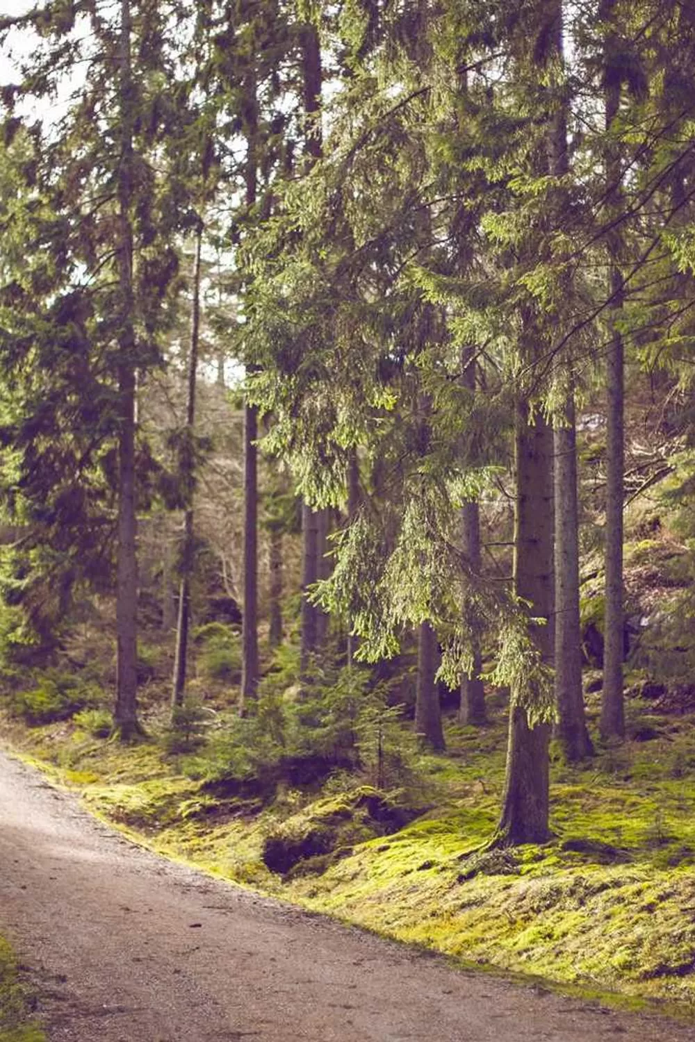 reflexão sobre mulheres de fé no Antigo Testamento: Reflexões Bíblicas e Ensinamentos