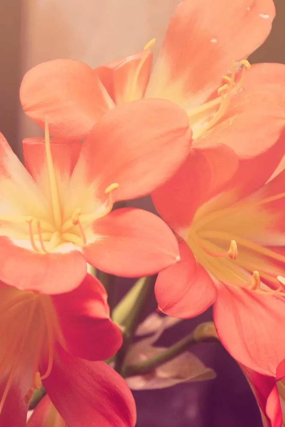 salmos da bíblia católica para oração diária: Reflexões Bíblicas e Ensinamentos