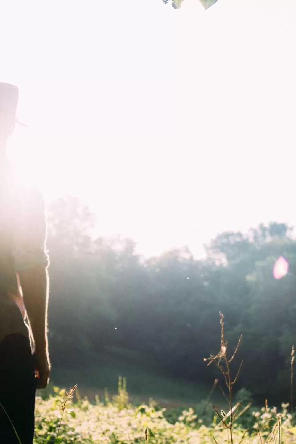 versículos da bíblia católica sobre sabedoria: Reflexões Bíblicas e Ensinamentos