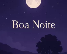 Boa Noite de Paz: Reflexão, Gratidão e Renovação 4 Boa Noite de Paz: Reflexão, Gratidão e Renovação 3