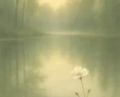 Aquietai-vos: Encontre Paz na Presença de Deus 11