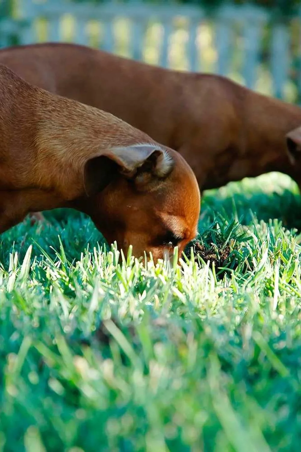 milagres no novo testamento bíblia católica: Reflexões Bíblicas e Ensinamentos